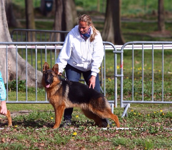 Vom Herzogswappen - SCBA RE St. Andiol