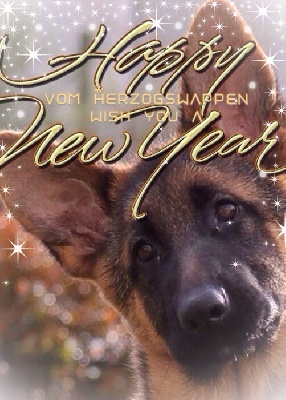 Vom Herzogswappen - Bonne année 2014