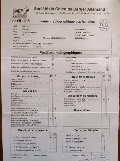 Vom Herzogswappen - Résultats des radios d'Imhotep