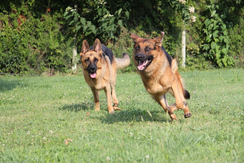 Jeux des twix (Gangâ et Gelia)